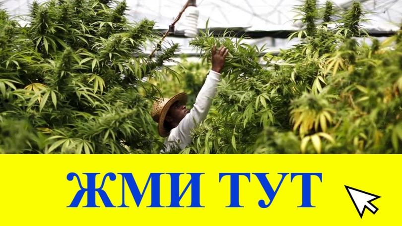 Купить наркотики в Тихвине